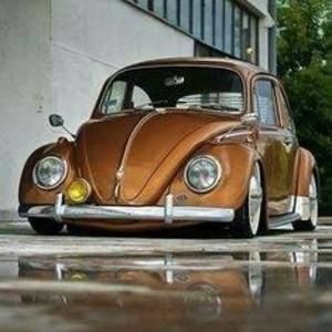 Meet your Posher, Leo